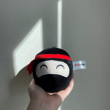 Load image into Gallery viewer, Limited Edition Ninja Van Plushie (Ryo)